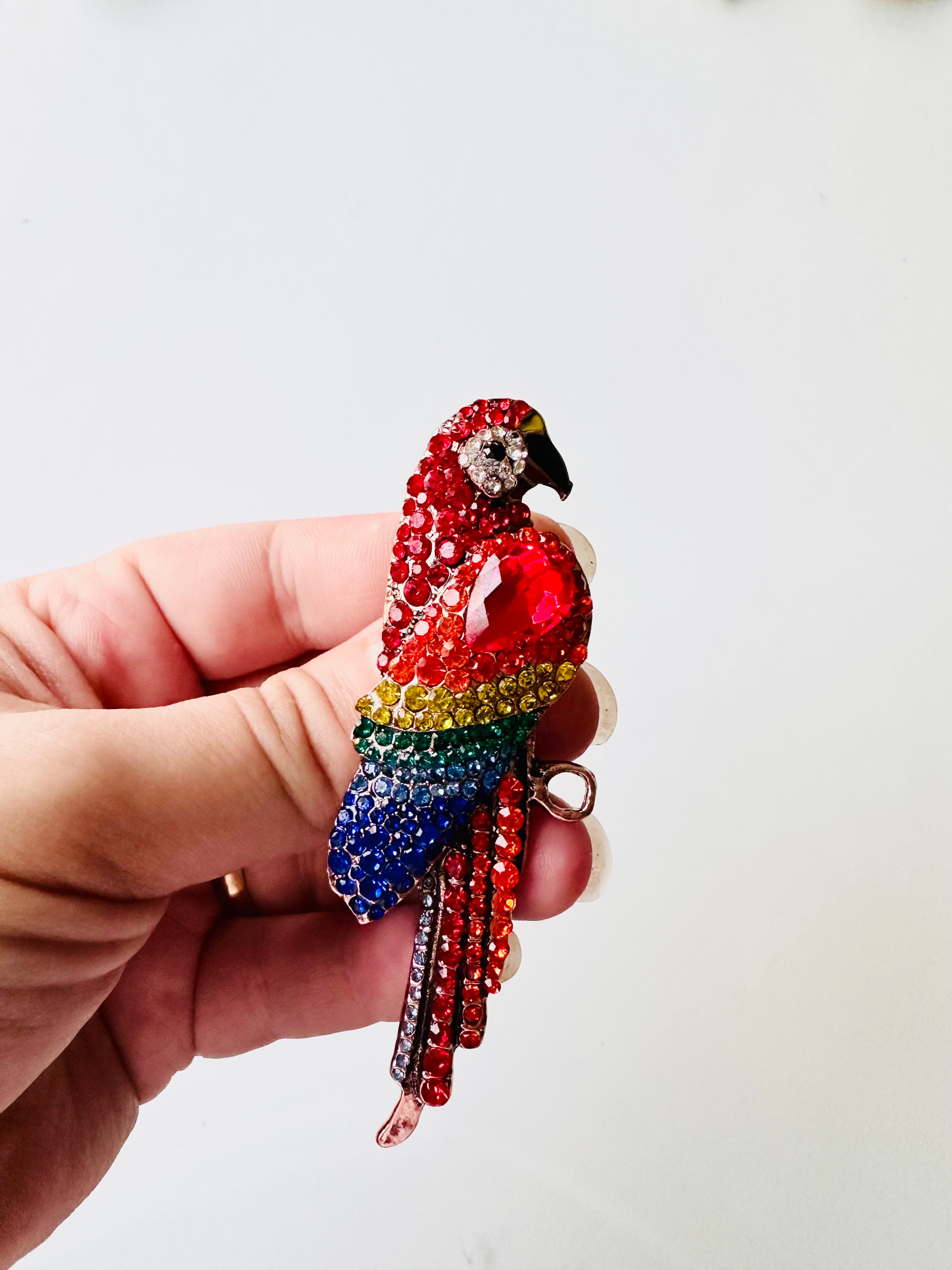 parrot