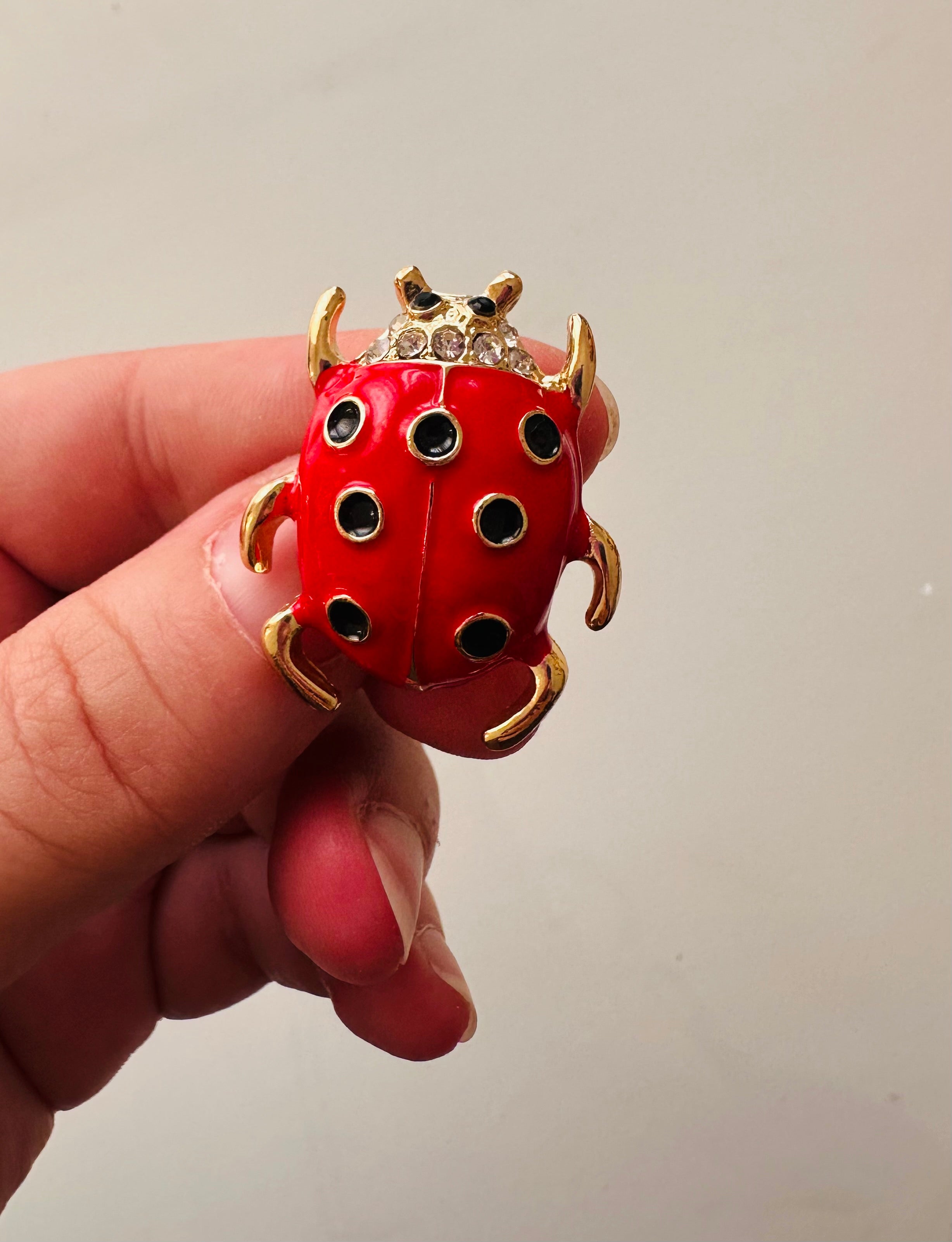 Lady bug 2