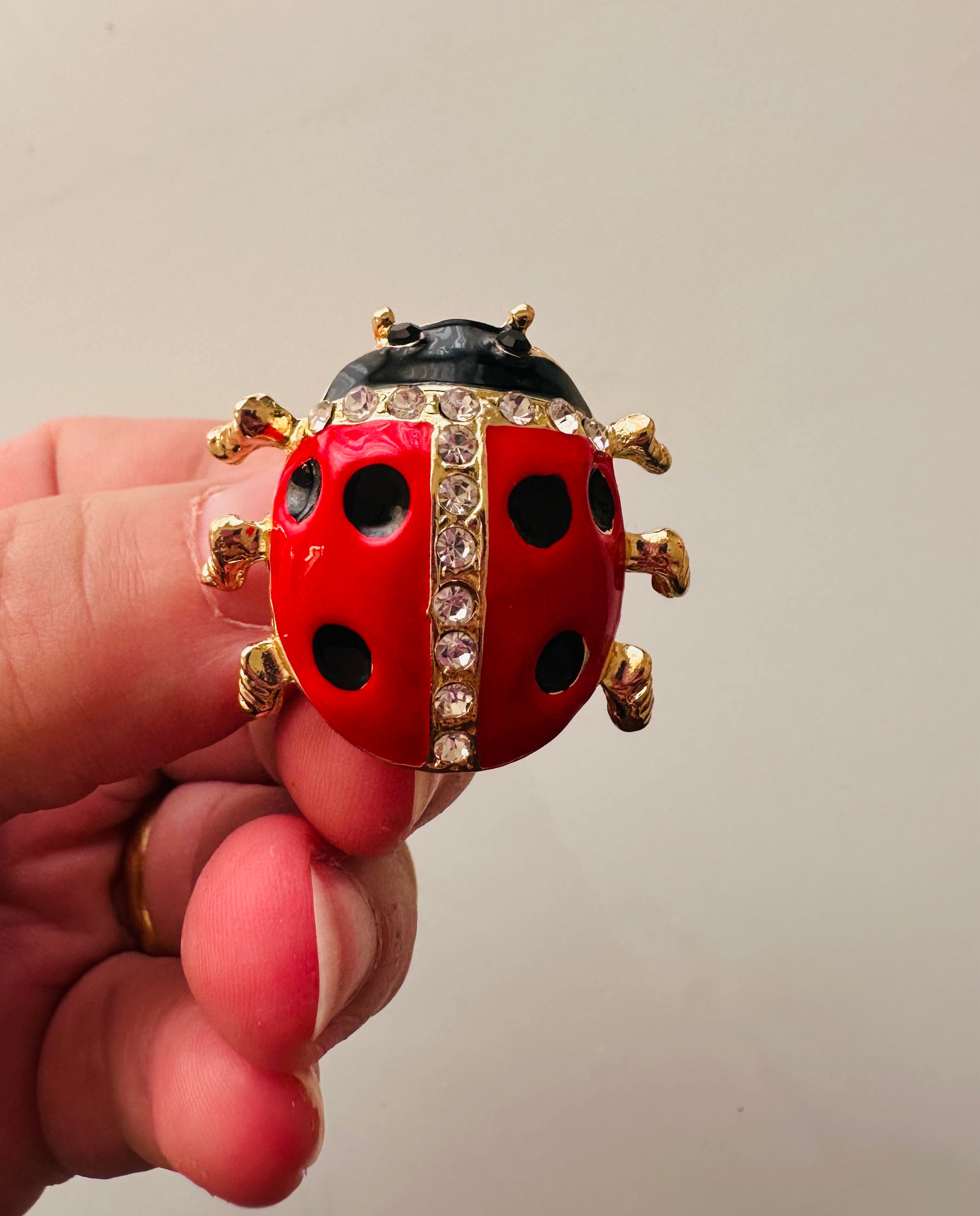 Lady bug 1