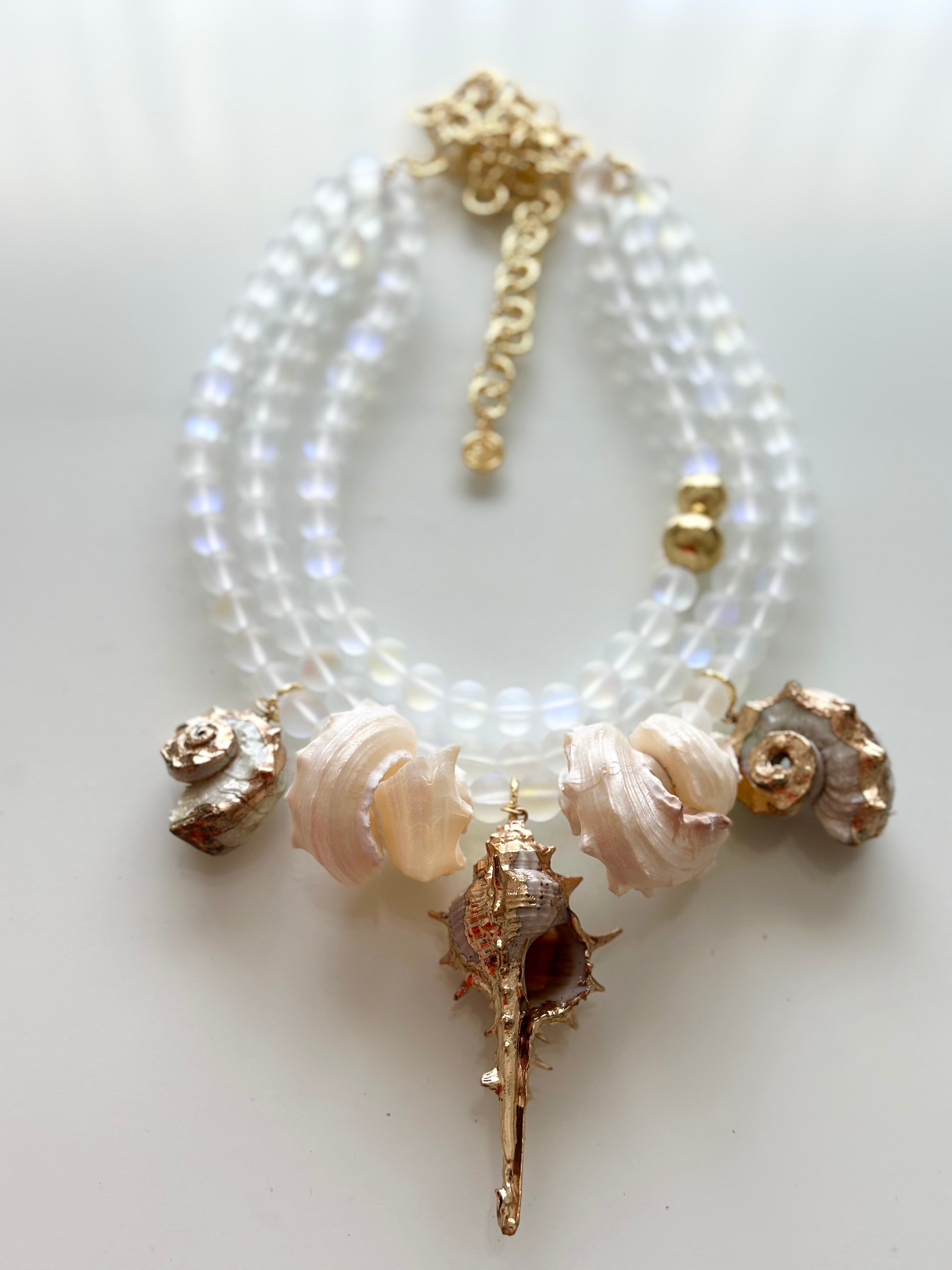 Seashells
