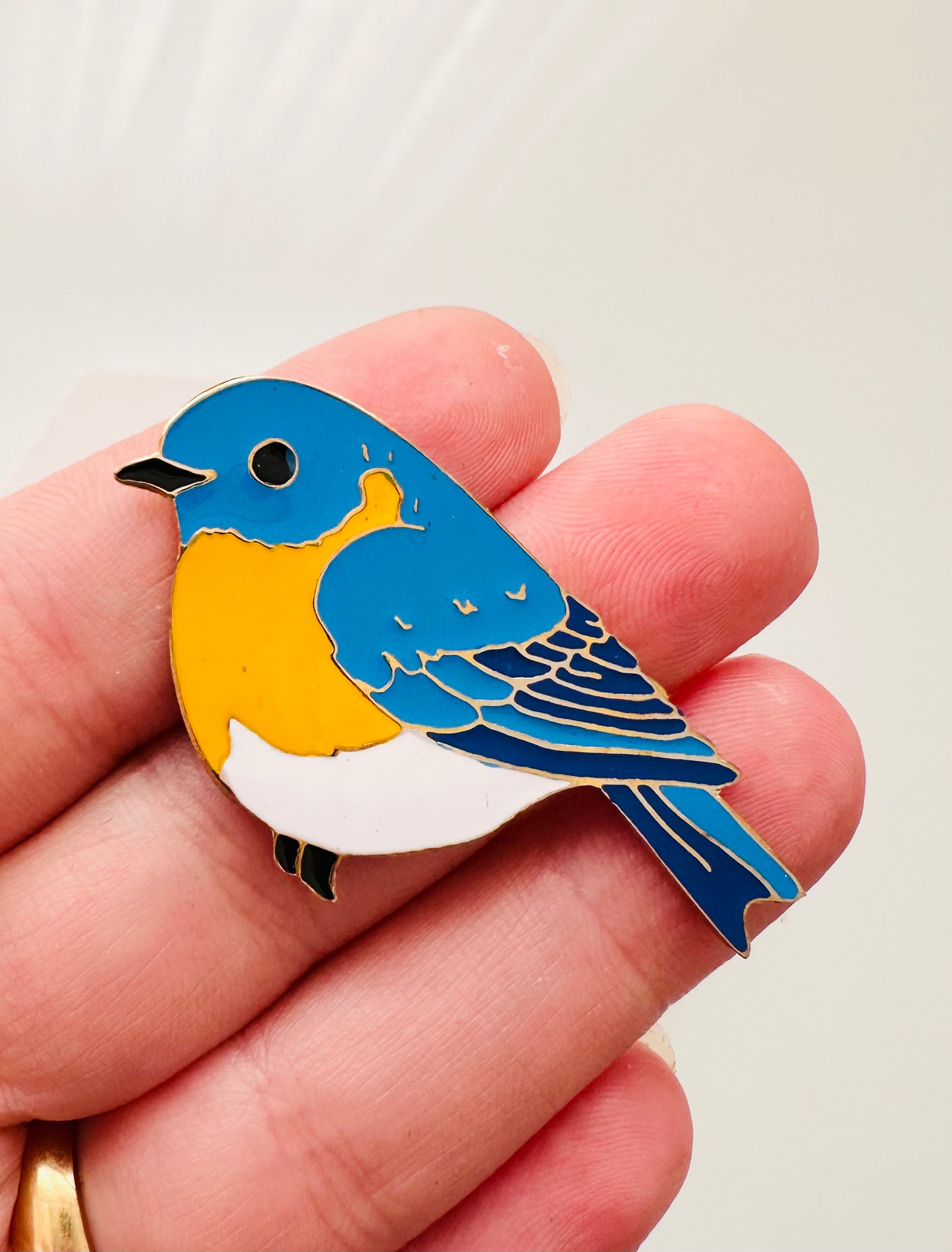 C bird