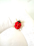 Lady bug