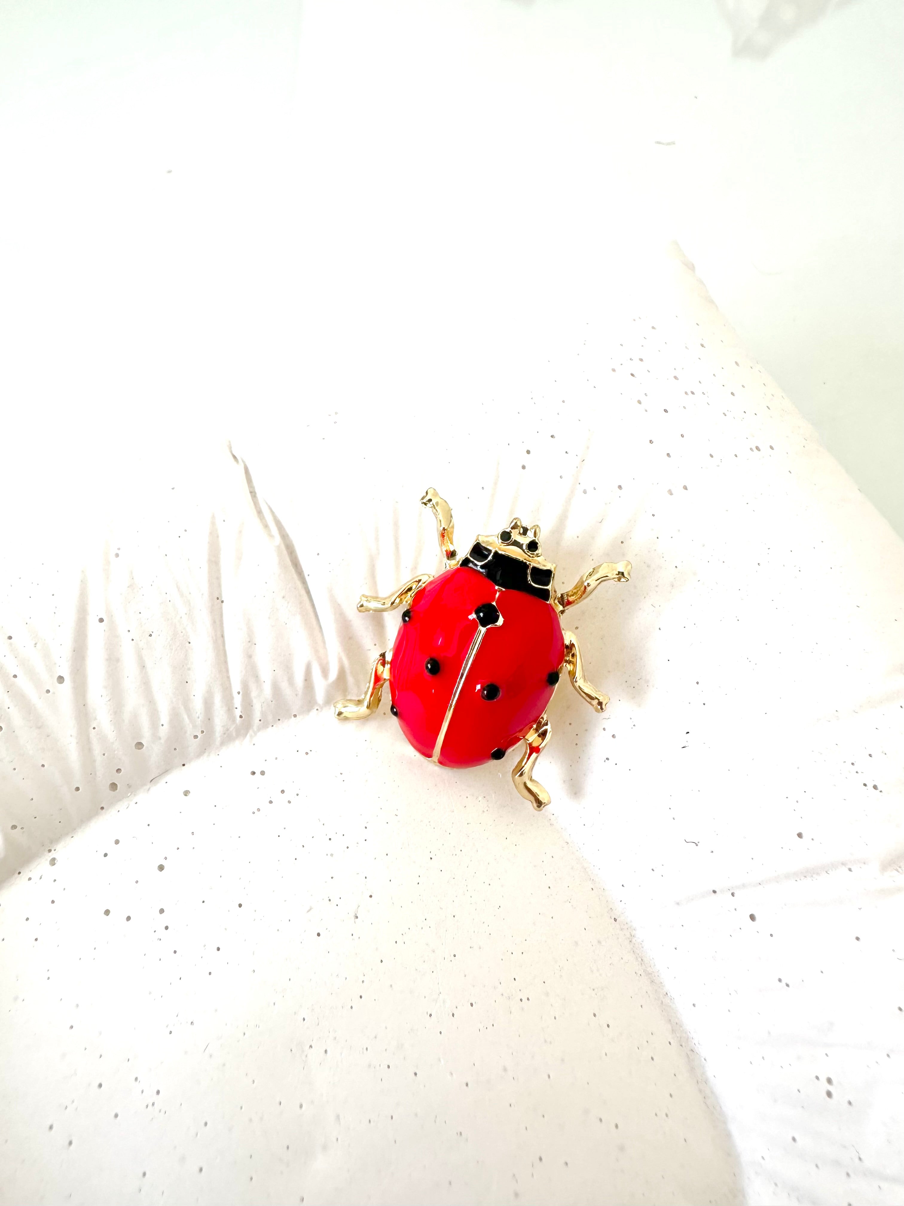 Lady bug